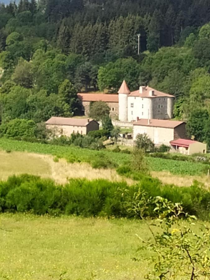 La Maison D'Oree Polignac Exterior foto